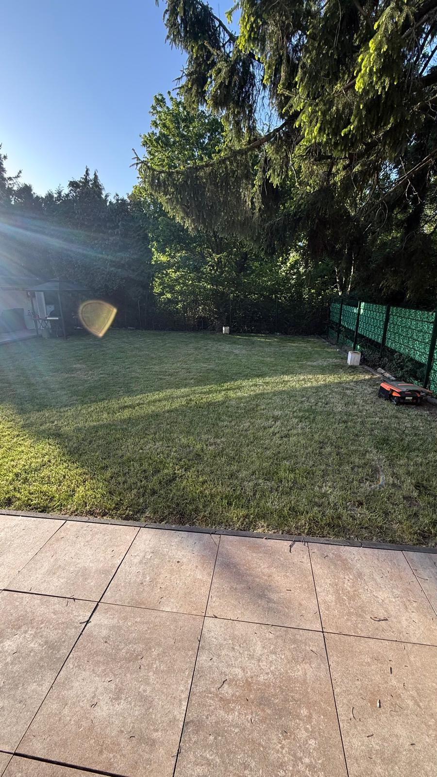 Lance Reinigung & Allround-Service - gartenpflege